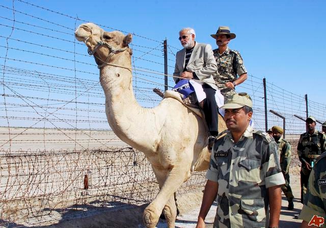 modi rocked the camel