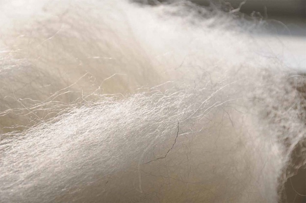 tricks and tips to identify pure wool fabric