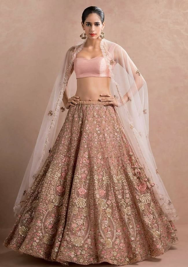 Indian Latest Lehenga Design With Price Online