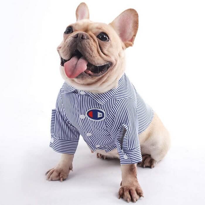 striped shirt for dog