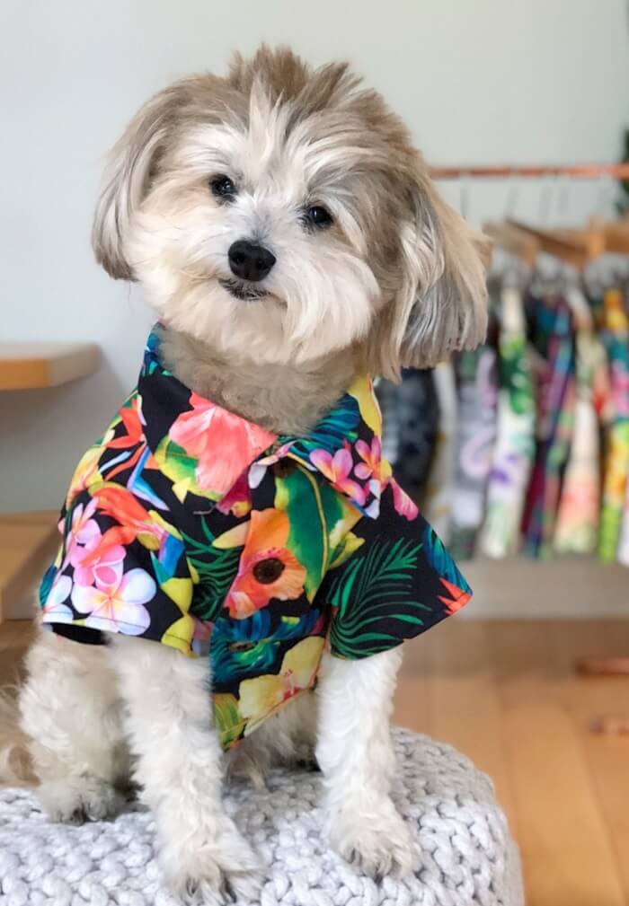 dog hawaiian shirt