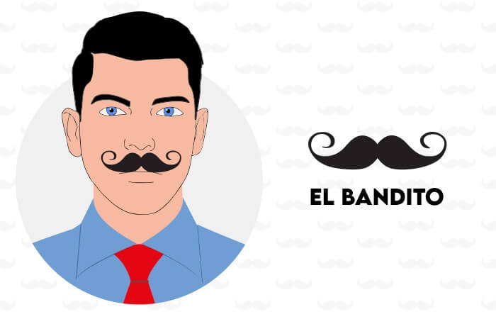 movember types of moustaches 