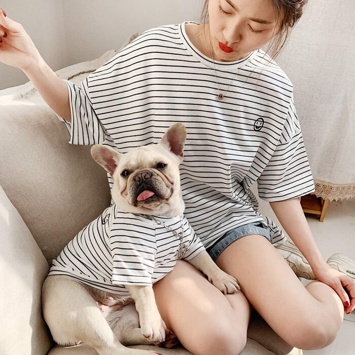matching dog and owner shirts 