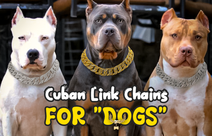 cuban link chain collar for dog