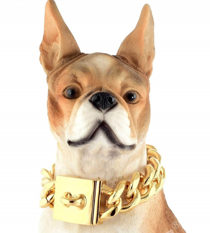 gold cuban chain dog collar