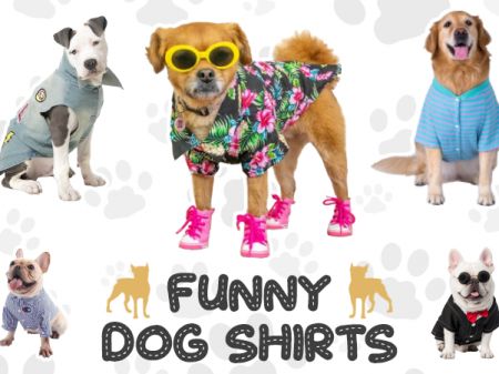 Dog Shirts Patterns – Funny and Creative Ideas