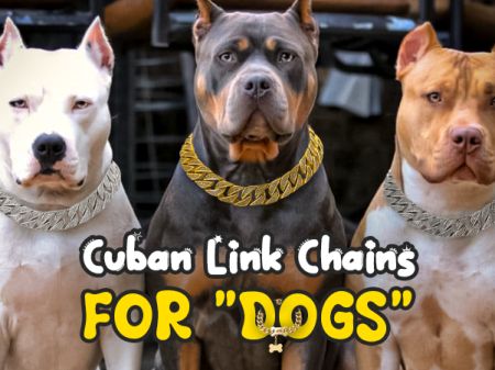 Cuban Link Chains for Dogs
